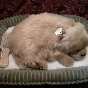 Realistic Sleeping Dog